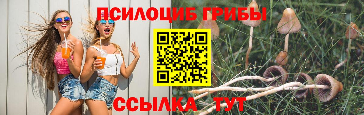Галлюциногенные грибы Psilocybine cubensis  купить   Мичуринск  Псилоцибиновые грибы Magic Shrooms  Вход с VPN 